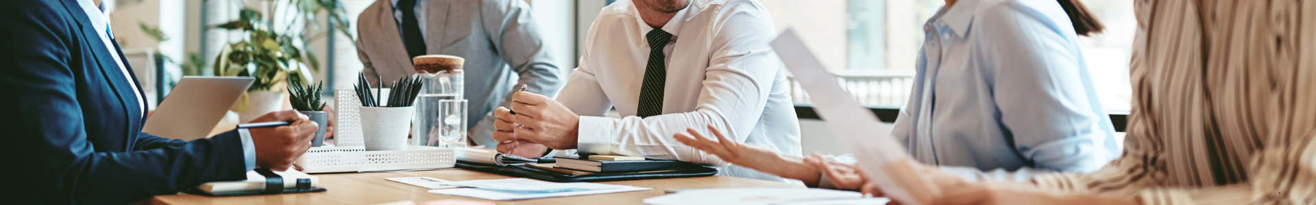 Wisdom Bridge Consultants