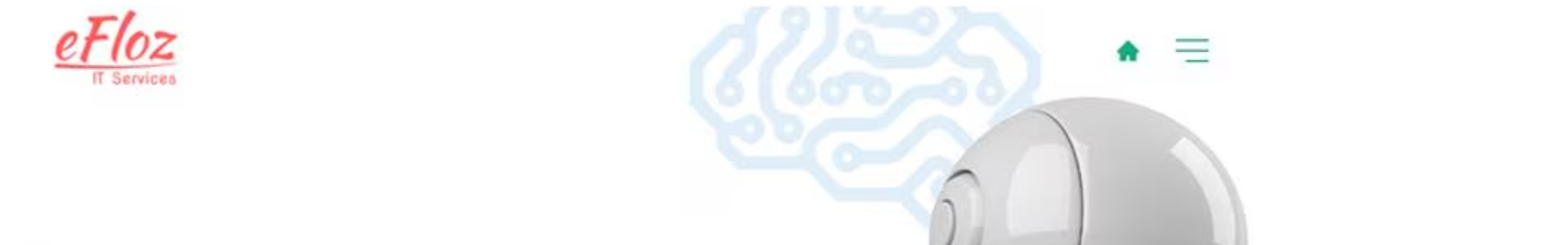 eFloz IT Services