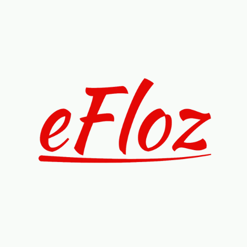 eFloz IT Services
