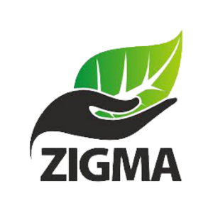 Zigma Global Environ Solutions
