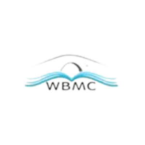 Wisdom Bridge Consultants