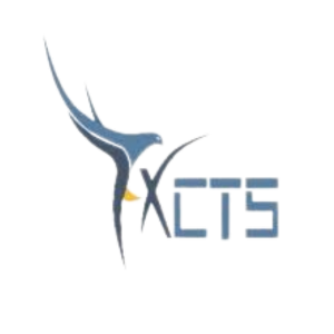 Falcon X Consulting And Technology Services