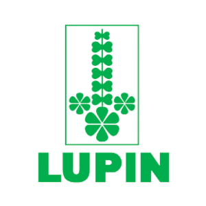 Lupin