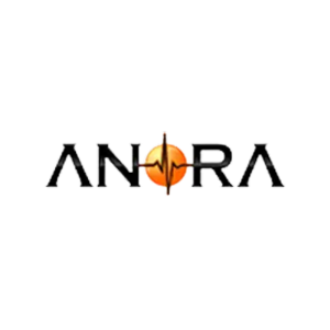 Anora Semiconductor Labs