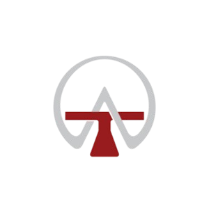 Toboids Automata