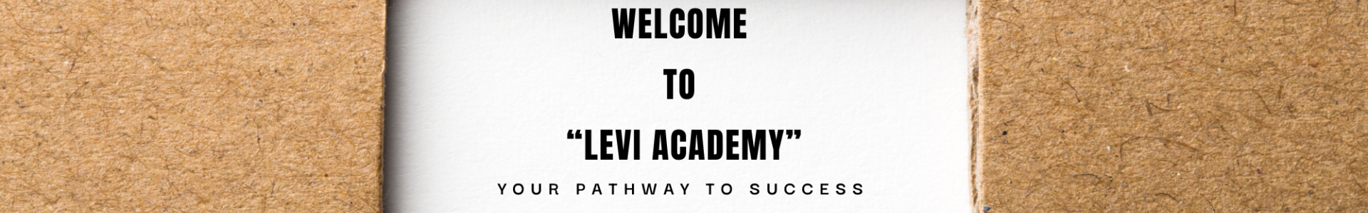Levi Academy