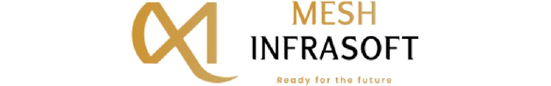 Mesh Infrasoft
