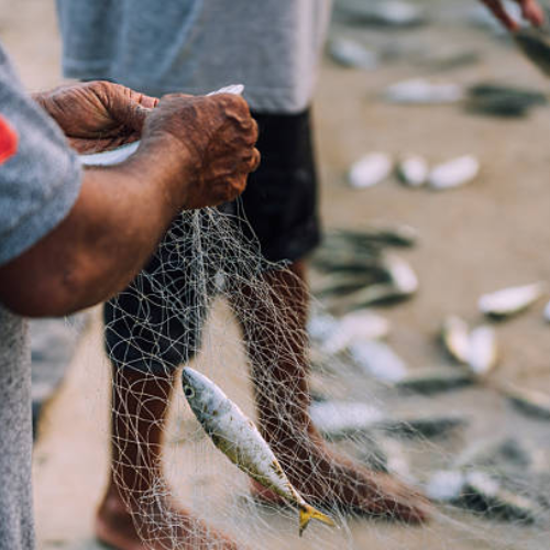 Mumtaj Fishnet