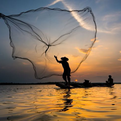 Sunma Fishnet