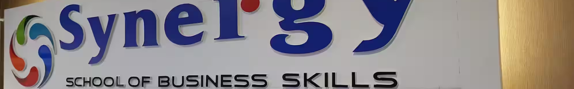 Synergy Tirunelveli