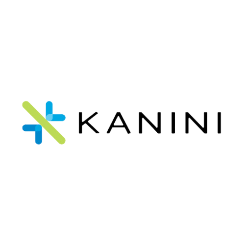Kanini Software Solutions