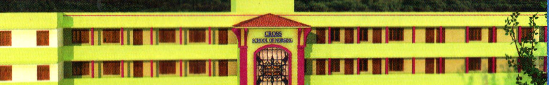 Cross Paramedical College