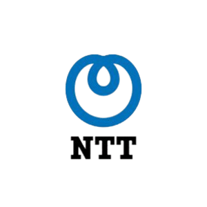 NTT Data Information Processing Services